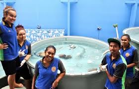 Thursday Island Secondary Waybeni Koey Ngurpay Mudh