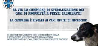 Il negozio casa del cucciolo ha una esperienza trentennale nel. Www Enpatorino Com