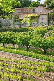 Pot Belly Pig In Boots Paysage France Paysage De Provence Paysage