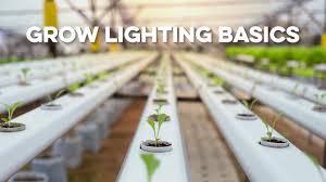 Questions about light in your greenhouse or other growing settings? Grow Lighting Basics All Grow Lighting Compared Education Best Grow Light Grow Indoor Greenhouse Youtube