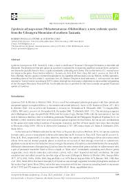 Image result for Crepidorhopalon namuliensis