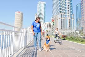Average dog walking price (45mins to 60mins) £. How Much Does A Dog Walker Cost Barkly Pets