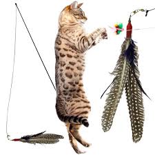 I have had multiple cat wands over the years, but for some reason i ordered the da bird super pack, which includes the da bird original 36″ single pole cat toy, a feather refill, a sparkly attachment, kitty. Best Cat Toys Of 2020 So Far Tuft Paw