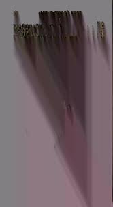 Report of the Adjutant-General of the State of New Hampshire