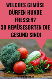 30 Gemusesorten Die Fur Hunde Gesund Sind Hunde Ernahrung Kochen Fur Hunde Gemuse Fur Hunde