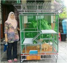 Teringin nak buat rumah untuk kucing yang lebih kelihatan menyeronokkan mata anda tanpa perlu mengeluarkan belanja yang banyak? 15 Rumah Kucing Yang Simple Dan Mudah Dibina Secara Diy