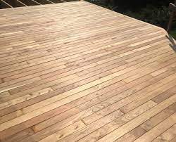 Pin On Black Locusts