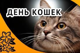 Призван обратить внимание на проблему бездомных кошек. Segodnya Vsemirnyj Den Koshek