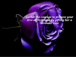 We did not find results for: Colors Of Roses With Their Meanings Flowerzncakez Com