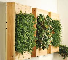 Brew diy pallet living wall is one images from 20 stunning living wall using pallets of get in the trailer photos gallery. Cool Diy Green Living Wall Projects For Your Home