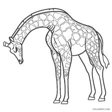 The leg of a giraffe measures like a man about 180 cm. Free Printable Giraffe Coloring Pages For Kids