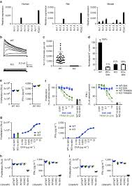 Pln (persero) uip maluku pelaksanaan pelayanan perizinan berusaha terintegrasi secara elektronik berdasarkan hasil. Potassium Channels Kv1 3 And Kca3 1 Cooperatively And Compensatorily Regulate Antigen Specific Memory T Cell Functions Nature Communications