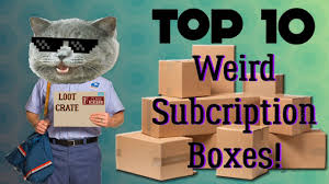 Pusheen cat inflatable drink pool float new pusheen box exclusive. Top 10 Weird Subscription Boxes Youtube