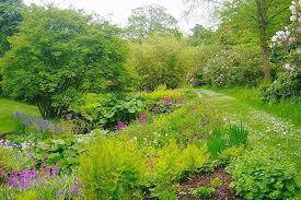 A rock garden—sometimes known as a rockery or alpine garden—is a planting area designed with a hardscape featuring a selection of gravels, rocks, and/or boulders.it typically includes softscape plants suitable to those. Beautiful Open Gardens To Visit In The Uk Public Gardens Rhs Gardening