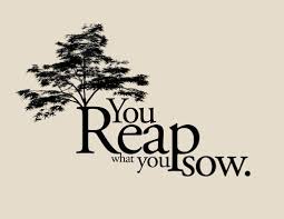 Bahkan di dalam agama pun, sering diperbincangkan mengenai hal ini. Apa Arti Istilah You Reap What You Sow Quora