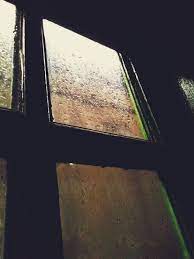  Jendela Hujan Window Fotografi Alam Pemandangan Fotografi