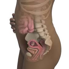 11 weeks = 2.75 months. 11 Weeks Pregnant Symptoms Belly Baby Size More Babycenter