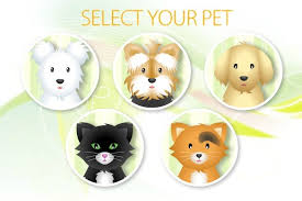 Pet Grooming Studio In 2020 Dog Spa Dog Games Pet Grooming