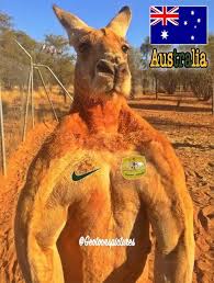 Tous les matchs et rencontres de foot commentés en direct : Geotoons Pictures On Twitter France Vs Australia Worldcup2018 Worldcup Coupedumonde2018 Coupedumonde Fraaus Nature Australie Rooster Francais France Foot Fifa Football Soccer Team Nikefootball Nike Australian Australians