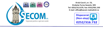 Declarații de avere şi interese. Declaratii De Avere Si Interese