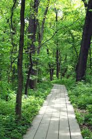 Hiking at pere marquette state park & lodge, grafton illinois. Top 10 Best State Parks Near Chicago Itsallbee Solo Travel Adventure Tips