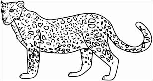 Find more cheetah print coloring page pictures from our search. Cartoon Cheetah Coloring Page Coloringbay