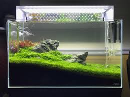 Based on the principle of japanese stone gardens, amano managed to create a particularly natural flow. Ada 60 P Iwagumi Rite Of Spring Aquascape