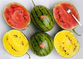 ، والتي يبحث عنها الألاف للتعرف على دلالات رؤية البطيخ في المنام للعزباء والمتزوجة والحامل والرجل. ØªÙØ³ÙŠØ± Ø­Ù„Ù… Ø§Ù„Ø¨Ø·ÙŠØ® ÙÙŠ Ø§Ù„Ù…Ù†Ø§Ù… Ù„Ø§Ø¨Ù† Ø³ÙŠØ±ÙŠÙ† Ù…ÙˆÙ‚Ø¹ Ù…ØµØ±ÙŠ