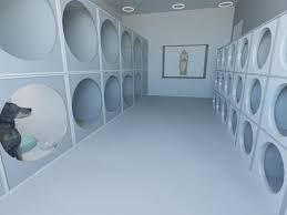 Our convenient pet hospitals are located in select petsmart stores. Project For Veterinary Clinic On Behance Pet Clinic Veterinary Clinic Pet Hotel Design