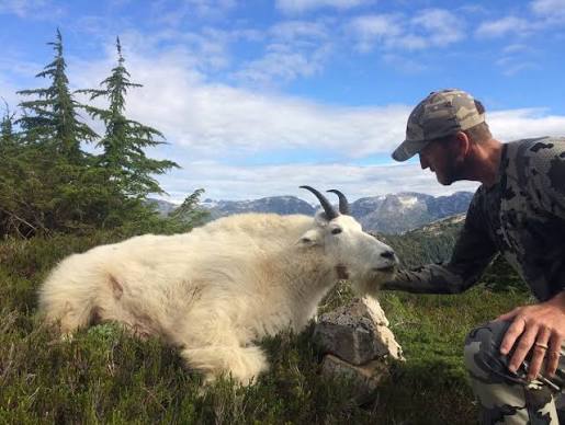 Mountain Goat Trophies - Bolen Lewis