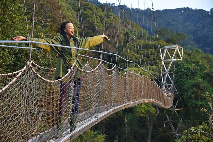 Nyungwe Forest National Park - One of the oldest rainforests in Africa with Self drive Rwanda Uganda