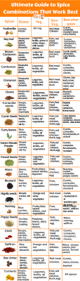 Spice Combinations Chart To Reuse Left Over Spices Spiceitupp