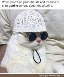 Pin On Cute Funny Animals