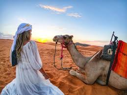 6+ hrs to zagora, 10+ hrs to merzouga (excluding stops). 3 Day Marrakech To Merzouga Sahara Desert Tour Private And Shared