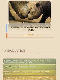 Animal welfare activist tan sri lee lam thye said the numbers of various wildlife species have been declining, even within protected areas, due to poaching and illegal deforestation. Wildlife Conservation Act 2010 Azah S Hunting Search And Seizure