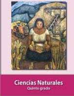 9 febrero, 20172 mayo, 2019. Libros De Texto 5 Grado Leona Vicario Edu
