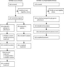 Гепатит е 27 июля 2020 г. Glecaprevir Pibrentasvir To Treat Chronic Hepatitis C Virus Infection In Asia Two Multicentre Phase 3 Studies A Randomised Double Blind Study Voyage 1 And An Open Label Single Arm Study Voyage 2 The Lancet Gastroenterology Hepatology