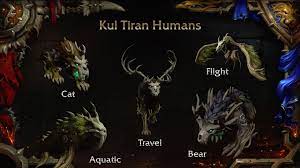 It's an allied race available for alliance side with unique race abilities and other perks. Kul Tiran Humans Allied Race Guide