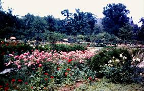 Karlsruhe City Park Gardens Karlsruhe Park City Germany