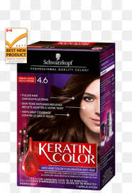 Dark chocolate brown hair dye garnier nutrisse in shades like sweet cola, dark chocolate, cocoa bean, truffle, or chocolate caramel: Dark Chocolate Brown Hair Color Png Dark Chocolate Brown Hair Color Before And After Cleanpng Kisspng