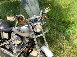 Image result for Diamond Ice 1999 Motorcycle