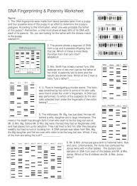 Because answering the questions in the worksheet is the same as researching a matter around and once more, obviously. Dna Fingerprinting Worksheet Answers Dna Fingerprinting Paternity Worksheet Dna Dna Fingerprinting Worksheets Word Problem Worksheets