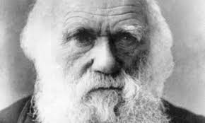 Did Charles Darwin suffer from Lyme disease?