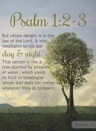 Doing studies on the meaning of a passage and committing it to memory prepare you to meditate on it. Meditate On God S Word With Psalm 1 2 3 And A Prayer Bible Psalms Psalms Psalm 1
