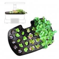 The smart countertop garden for growing fresh herbs &. Aerogarden