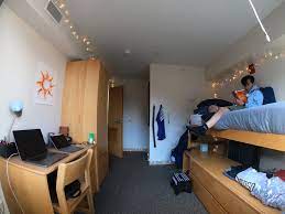 When the trees are big enough, they plant them in the forest, giving it a chance to regenerate faster. Welcome To College Please Stay In Your Room Alone The Boston Globe