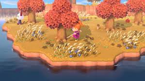 Planning a trip to hawaii is something many people dream of. Animal Crossing New Horizons Island Home Design Home Design