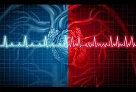 Image result for CHAD Score