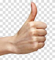 Person Doing Ok Hand Sign Thumb Signal Hand Thumb Up Hand Transparent Background Png Clipart Ok Hand Sign Clip Art Thumbs Up