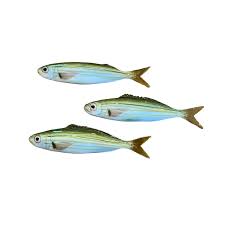 Image result for Boops boops